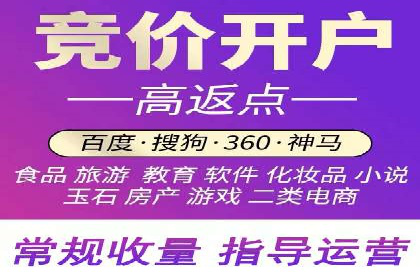 百度推广运营实战：成功案例解析
